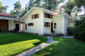 Отель Sani Beach Forest Villa  Кассандра